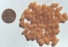 50 3x11mm Milky Camel Gourd Shaped Drops